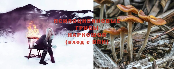 стаф Красноперекопск