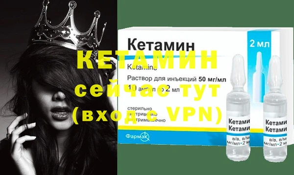 шишки Коряжма